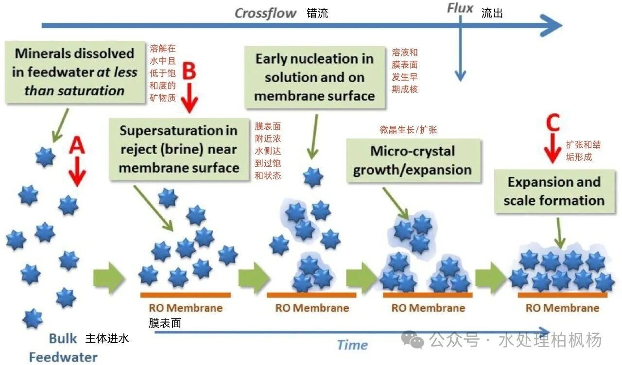 反渗透膜污染:监测、表征、缓解策略及未来方向,第二小节:膜污染